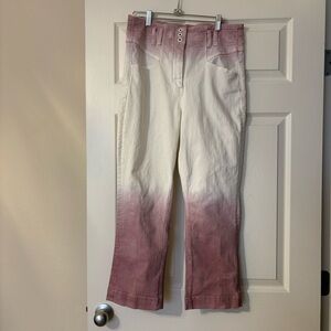 Anthropologie Pilcro High Rise Rose & White Ombré Tie Dip Dye Ankle Jeans 30